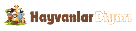 Hayvanlar Diyarı